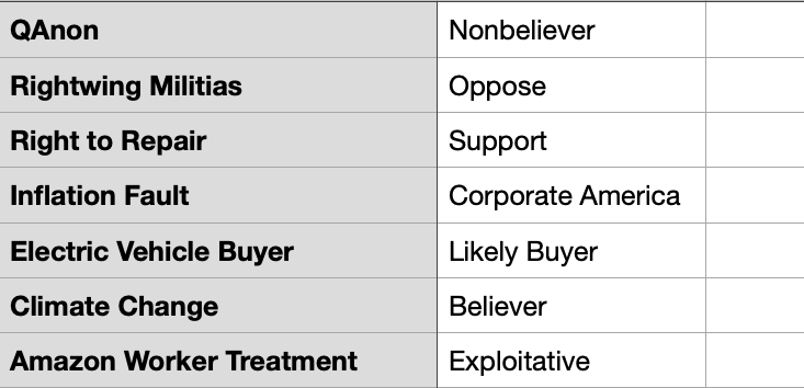 screenshot of spreadsheet with categories, "Qanon, Rightwing Militias, Right to Repair, Inflation Fault, Electric Vehicle Buyer, Climate Change, and Amazon Worker Treatment"